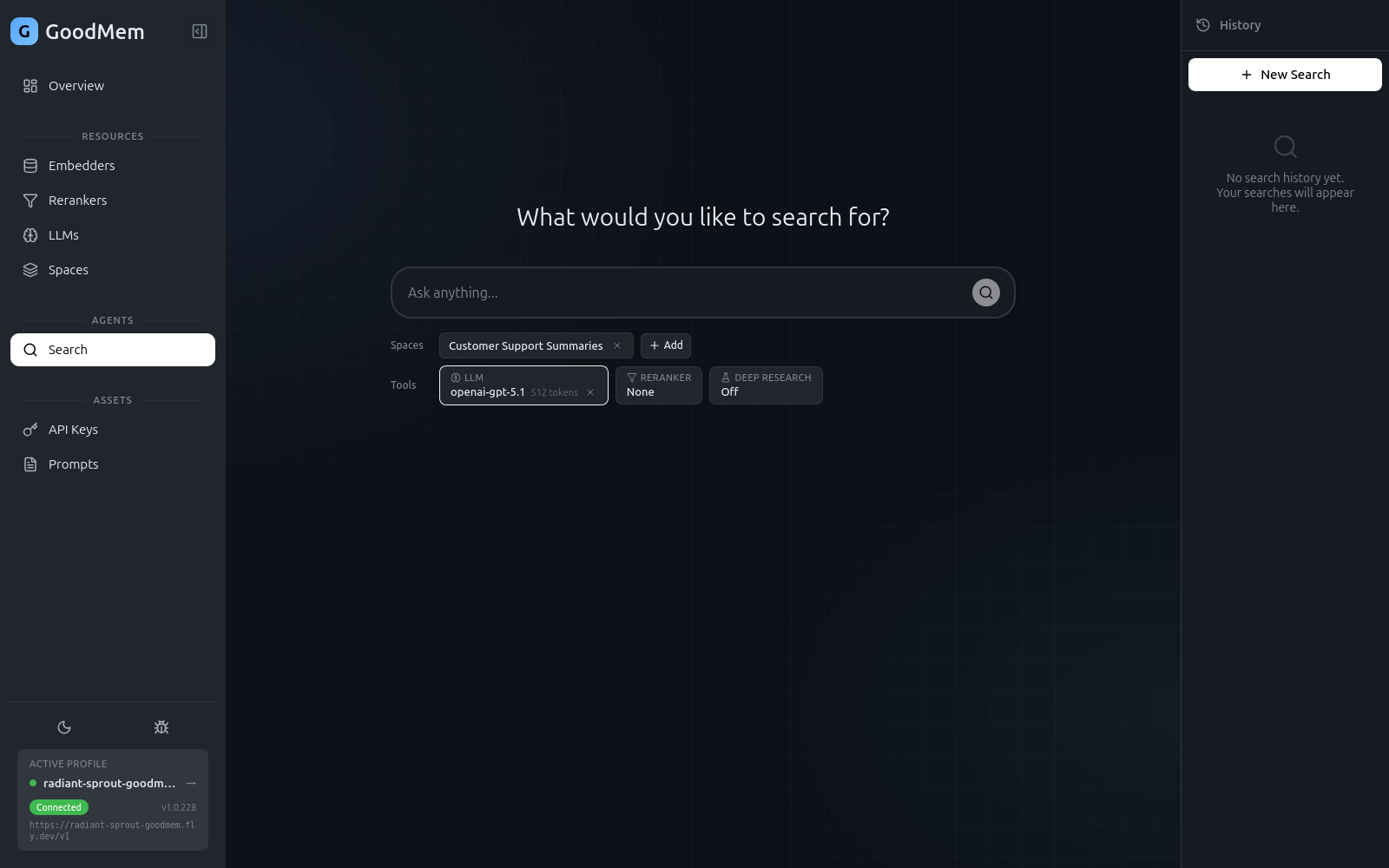 Search page with a space and LLM selected, ready for a query